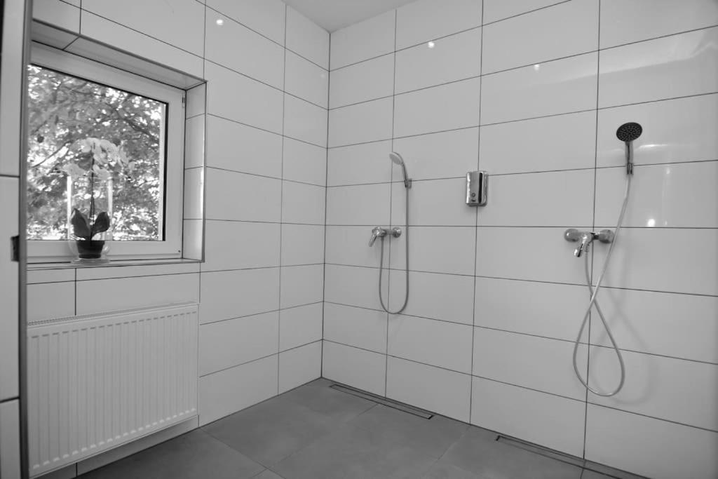 Fetischhaus Sm Apartment/Ferienwohnung Висбаден Екстериор снимка
